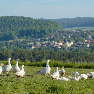 malebné jižní Čechy, Stezka středozemím, Via Czechia