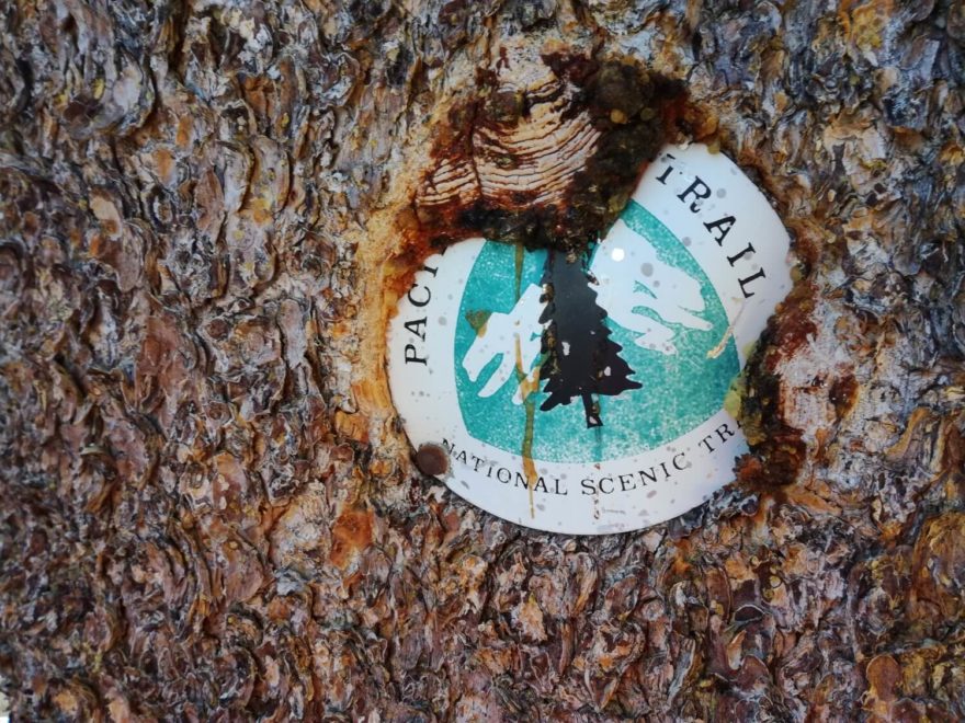John Muir trail kopíruje do velké míry trasu slavnějšího treku Pacific Crest Trail.