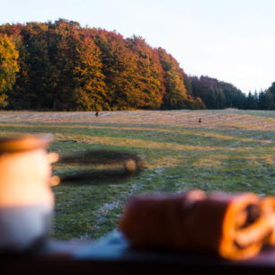 Snídaně a pozorování srnek. Cesta hrdinů SNP, Slovensko.