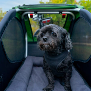 Vozík za kolo pro psa vybíráme podle velikosti a rasy psa. Vozík by měl mít dostatečný prostor a nosnost. Vozík Burley Tail Wagon je určený pro psy do 34 kg.