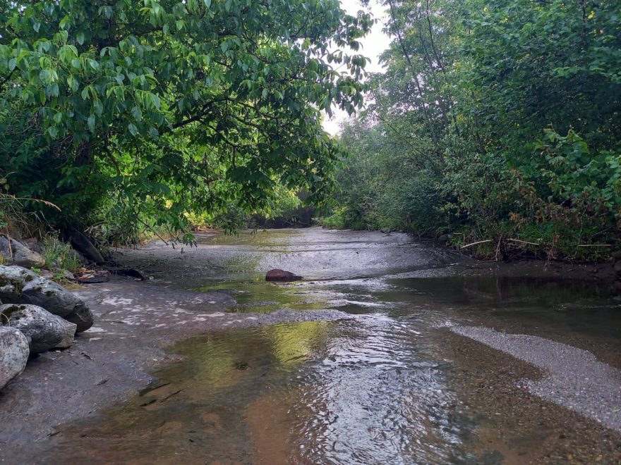 Nízký stav vody v říčce Kamenička reka v Senokosu, pohoří Stará planina, Srbsko