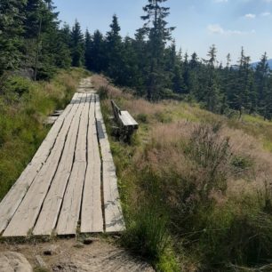 Stezka ze Špindlerovky na Moravskou boudu, Krkonoše.