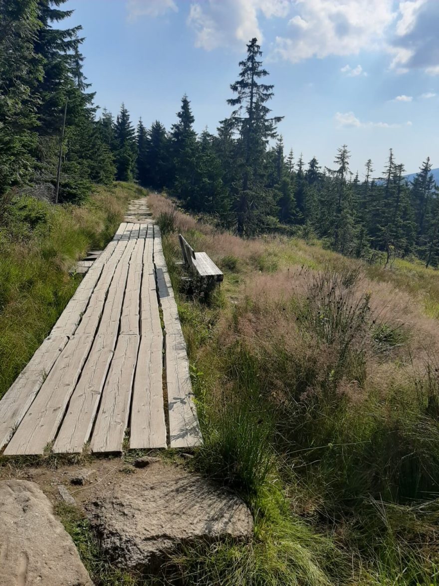 Stezka ze Špindlerovky na Moravskou boudu, Krkonoše.