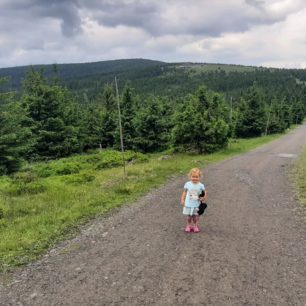 Na hřebeni u Špindlerovy boudy, Krkonoše.