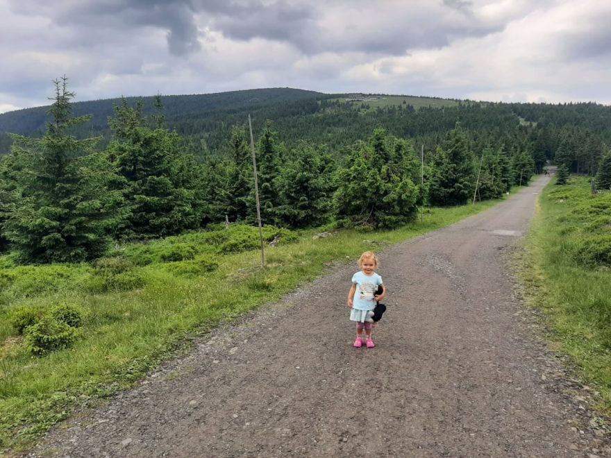 Na hřebeni u Špindlerovy boudy, Krkonoše.