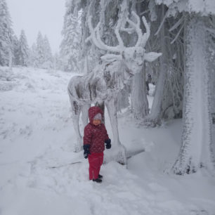 Stezka se sochami zvířat ze Špindlerovky na Moravskou boudu, Krkonoše.