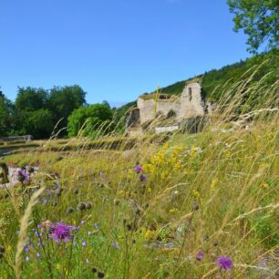 Zbytky kamenných kleneb ve volně přístupných ruinách cisterciáckého kláštera Alvastra, rezervace Omberg u jezera Vättern, Švédsko