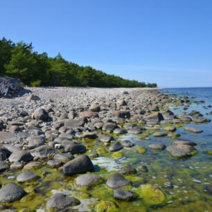 Přírodní rezervace Trolí les (Trollskogen) na severu ostrova Öland, Švédsko.