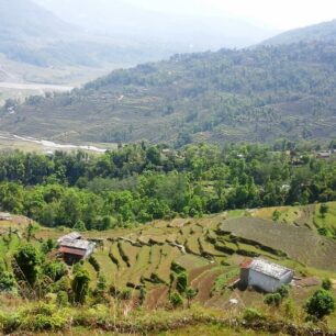 Začátek treku do Annapurna Base Campu vede vesničkami s rýžovými poli