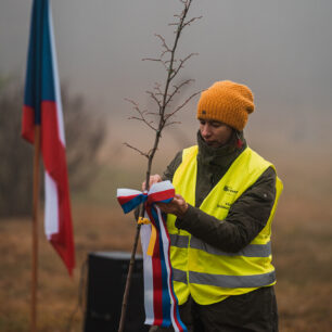 V roce 2018 proběhla úspěšná kampaň Stromy svobody, kterou tato nadace přispěla k oslavám 100 let od vzniku samostatného Československa