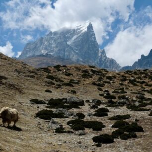 Solukhumbu je jednoznačně neoblíbenější oblast na treking. Nejnáročnějším trekem v okolí Everestu je trasa vedoucí přes tři pětitisícové průsmyky, tzv. Three passes trek.