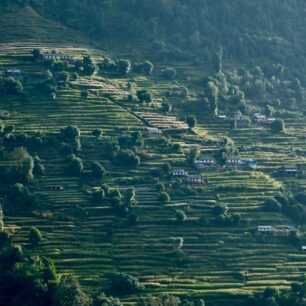 Poon Hill trek neboli Annapurna panorama trail je z jmenovaných treků nejjednoduší. Nabízí množství kulturních vjemů a zemědělské krajiny, navíc budete denně procházet vesničkami, kde to skutečně žije