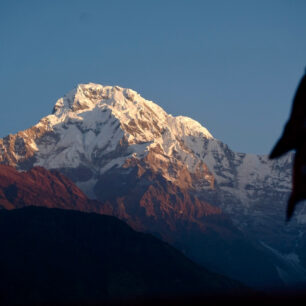 Poon Hill trek neboli Annapurna panorama trail je z jmenovaných treků nejjednoduší. Nabízí množství kulturních vjemů a zemědělské krajiny, navíc budete denně procházet vesničkami, kde to skutečně žije