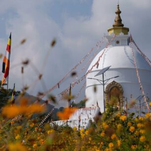 Poon Hill trek neboli Annapurna panorama trail je z jmenovaných treků nejjednoduší. Nabízí množství kulturních vjemů a zemědělské krajiny, navíc budete denně procházet vesničkami, kde to skutečně žije