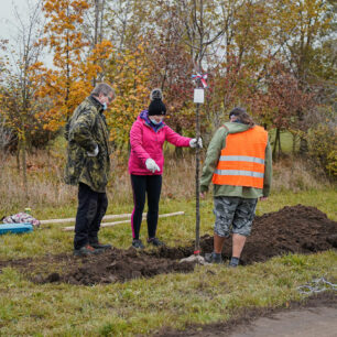 Iniciativa Sázíme budoucnost vzešla z Nadace partnerství, která už 30 let podporuje projekty na oživení a ozdravení krajiny s cílem zmírnit dopady klimatických změn