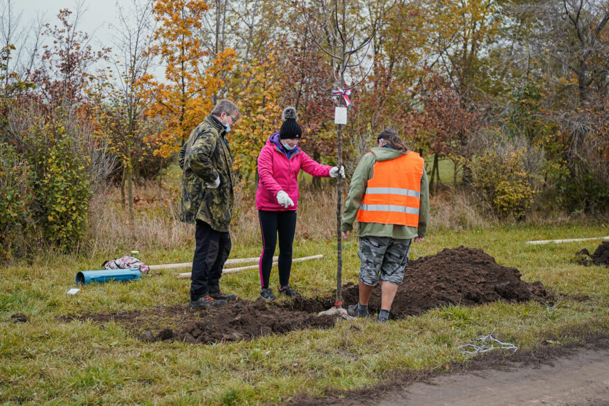 Iniciativa Sázíme budoucnost vzešla z Nadace partnerství, která už 30 let podporuje projekty na oživení a ozdravení krajiny s cílem zmírnit dopady klimatických změn