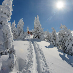 V Krkonošském národním parku nelze lyžovat volně – využívat lze jen značené cesty, ve 2. a 3. zóně parku pak lze lyžovat i po neznačených cestách a nelesních plochách.