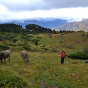 Okruh ke skalnímu oknu Piedrafita, údolí Tena, Pyreneje, Aragonie, Španělsko.