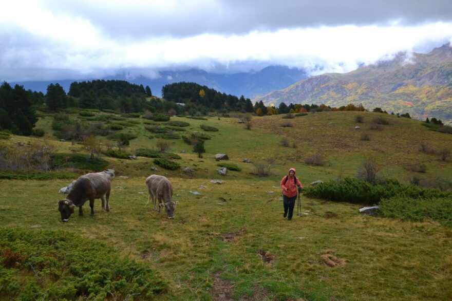 Okruh ke skalnímu oknu Piedrafita, údolí Tena, Pyreneje, Aragonie, Španělsko.