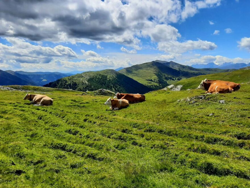 Nockberge nad Eisentalhohe, nejvyšším bodem vysokohorské silnice Nockalmstrasse. Alpy, Korutany, Rakousko.