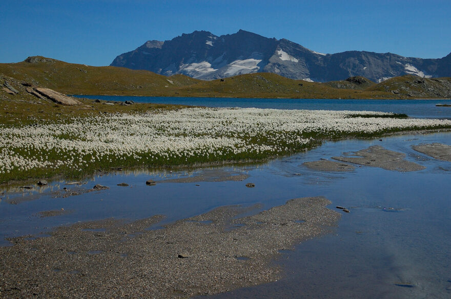 Trek Gran Paradiso vás zavede do zelených svěžích údolí s modrými hladinami jezerTrek Gran Paradiso vás zavede do zelených svěžích údolí s modrými hladinami jezer