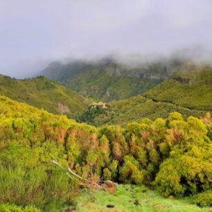 V oblasti Rabacal se dostanete podél levád do zeleného srdce ostrova Madeira.