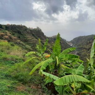 Do zeleného srdce ostrova Madeira dojdete podél levád