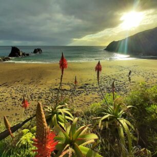 Za nejkrásnější pláž na ostrově bych označila divokou plážičku Prainha u Canicalu na východě ostrova Madeira