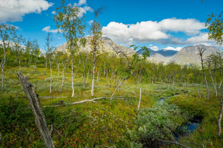 Národní park Sarek ve švédské Arktidě vám prostě vezme dech.