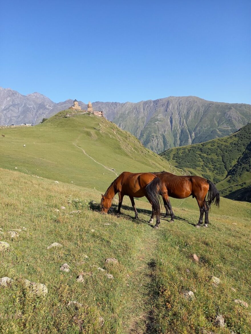 Nádherná příroda kavkazských hor