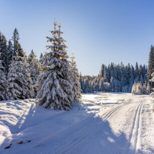 Trasa Modrava - Březník, Šumava. Foto Do Quoc Viet