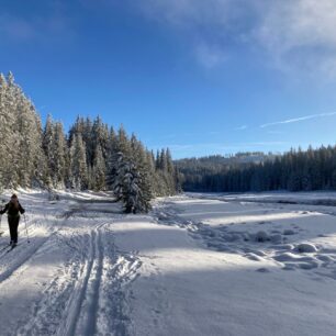 Údolí Roklanského potoka, Šumava. Foto Klára Růžková