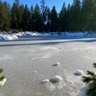 Tříjezerní slať, Šumava. Foto Klára Růžková