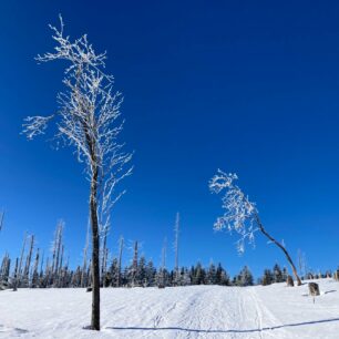 Zima na Poledníku, Šumava, foto Klára Růžková