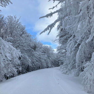 Čerchov - Český les a perfektní stopa. Foto Klára Růžková