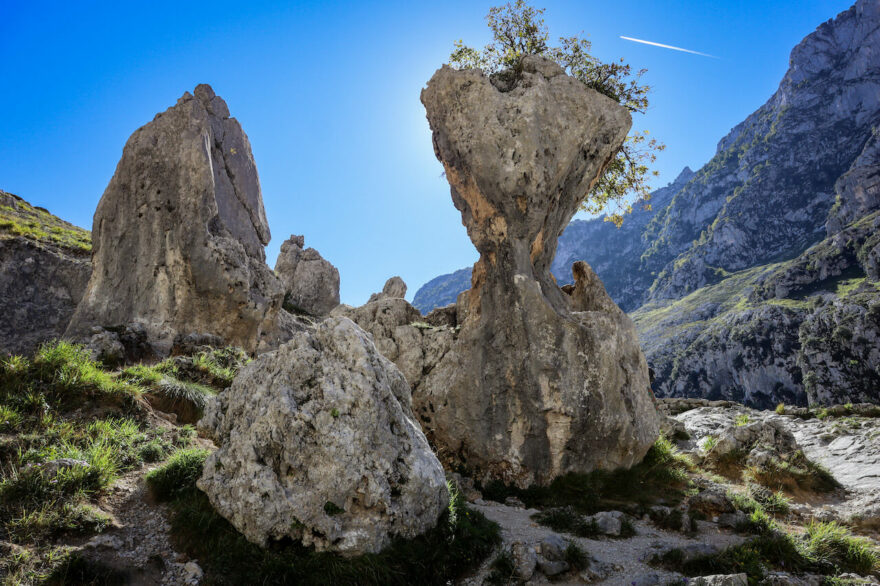 Parque Nacional de Picos de Europa