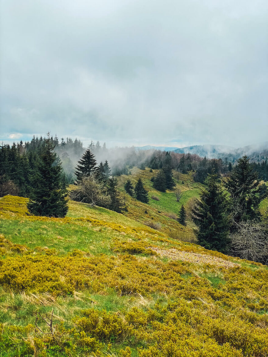 Karpaty - jižní větev Stezky Českem