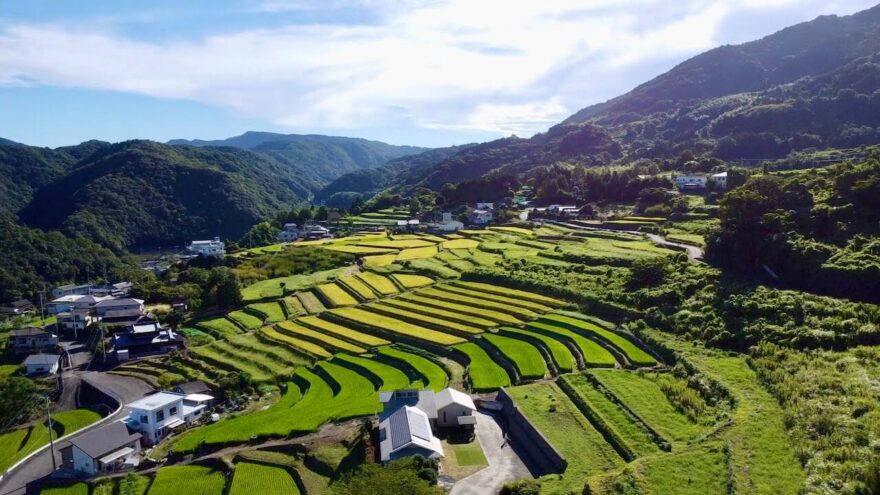 Japonsko je ideální destinace i pro začínající cestovatele