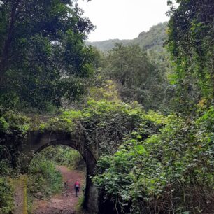 Projděte si ostrov La Palma: přes vulkány k oceánu