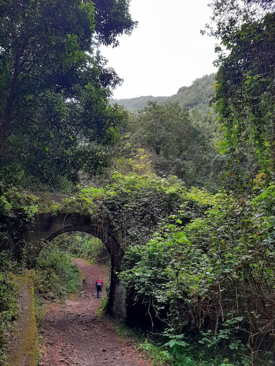 Projděte si ostrov La Palma: přes vulkány k oceánu