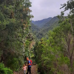 Projděte si ostrov La Palma: přes vulkány k oceánu