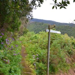 Projděte si ostrov La Palma: přes vulkány k oceánu