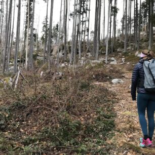 Oblast Loučovice je pokladem boulderingového lezení v jižních Čechách