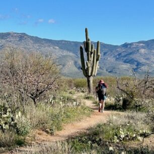 Arizona Trail prochází celou Arizonou od jihu až na sever.