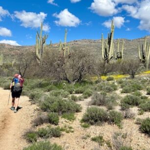 Arizona Trail prochází celou Arizonou od jihu až na sever.