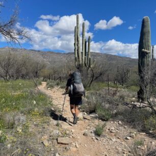 Arizona Trail prochází celou Arizonou od jihu až na sever.