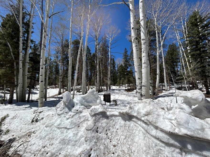 Arizona Trail prochází celou Arizonou od jihu až na sever.