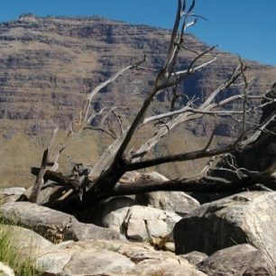 Cederberg