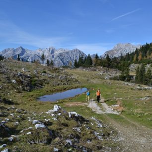 Cesta z Velike planiny směrem k hlavnímu hřebeni. Kamnicko-Savinjské Alpy, Slovinsko.