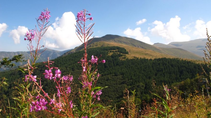 Stará planina